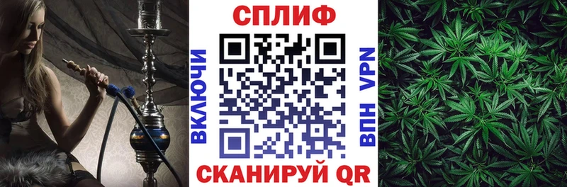 Купить где  Арск  Бошки марихуана план 